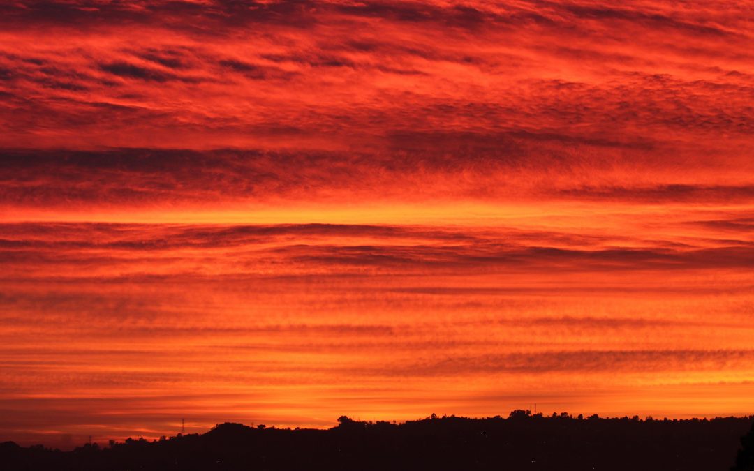 Don’t Wait for the Heatwave: Why Your Air Conditioner Needs a Spring Tune-Up